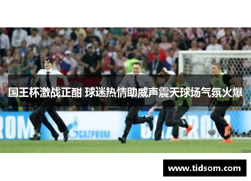 国王杯激战正酣 球迷热情助威声震天球场气氛火爆
