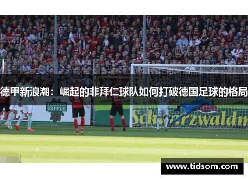 德甲新浪潮：崛起的非拜仁球队如何打破德国足球的格局