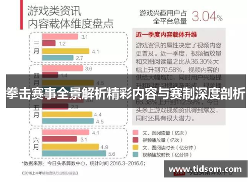 拳击赛事全景解析精彩内容与赛制深度剖析