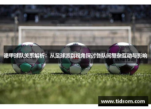 德甲球队关系解析：从足球派别视角探讨各队间复杂互动与影响