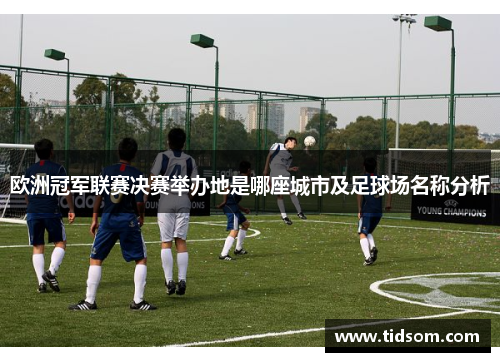 欧洲冠军联赛决赛举办地是哪座城市及足球场名称分析