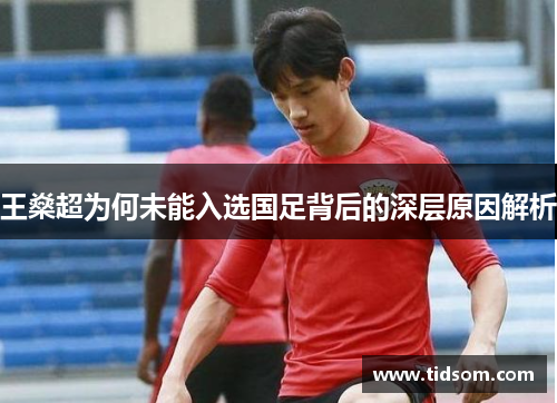王燊超为何未能入选国足背后的深层原因解析
