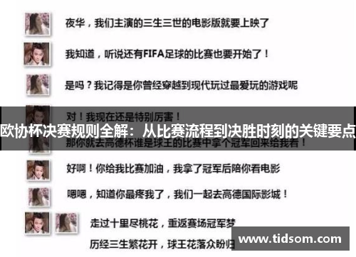 欧协杯决赛规则全解：从比赛流程到决胜时刻的关键要点