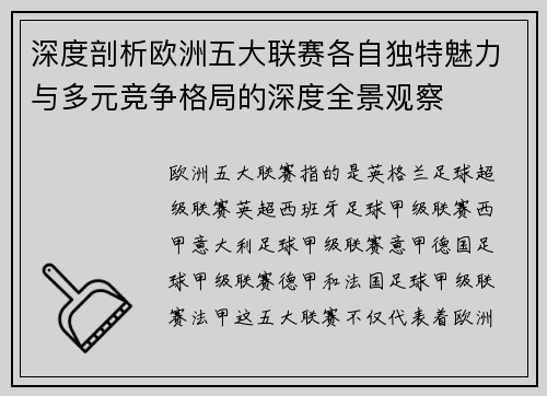 深度剖析欧洲五大联赛各自独特魅力与多元竞争格局的深度全景观察